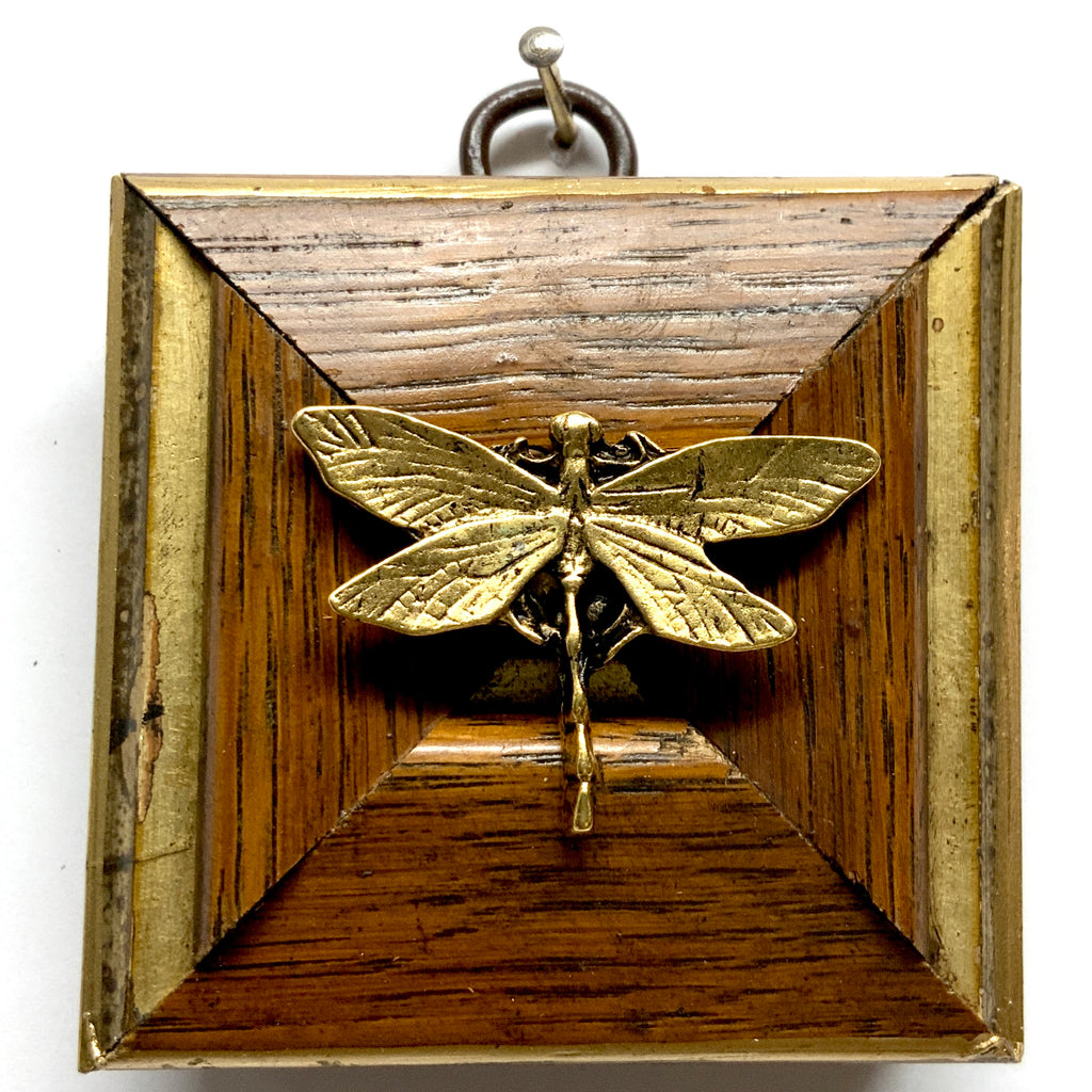 Gilt and Wooden Frame with Dragonfly (2.5