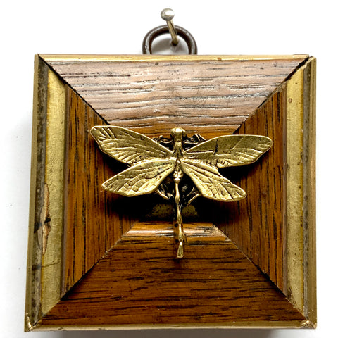 Gilt and Wooden Frame with Dragonfly (2.5
