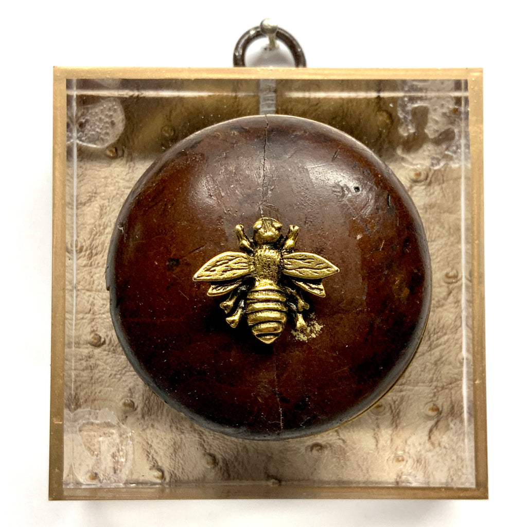 Acrylic Frame with Napoleonic Bee on Wooden Pull / Slight Imperfections (3