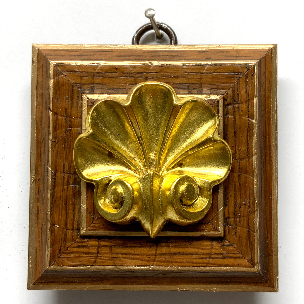 Wooden Frame with Shell (3