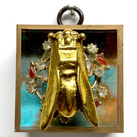 Acrylic Frame with Cicada on Brooch / Slight Imperfections (2