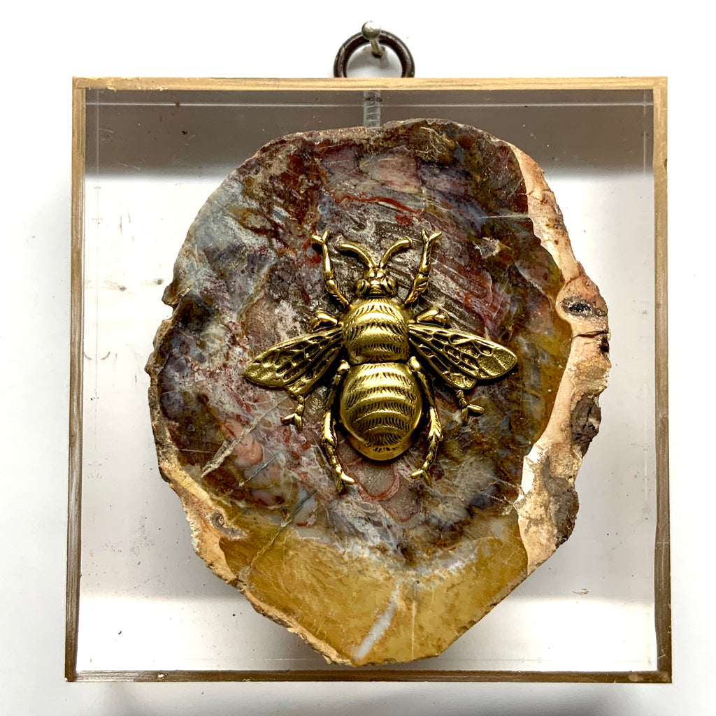 Acrylic Frame with Grande Bee on Petrified Wood / Slight Imperfections (4