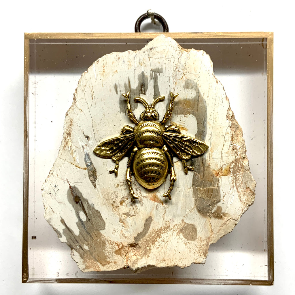 Acrylic Frame with Grande Bee on Petrified Wood / Slight Imperfections (4