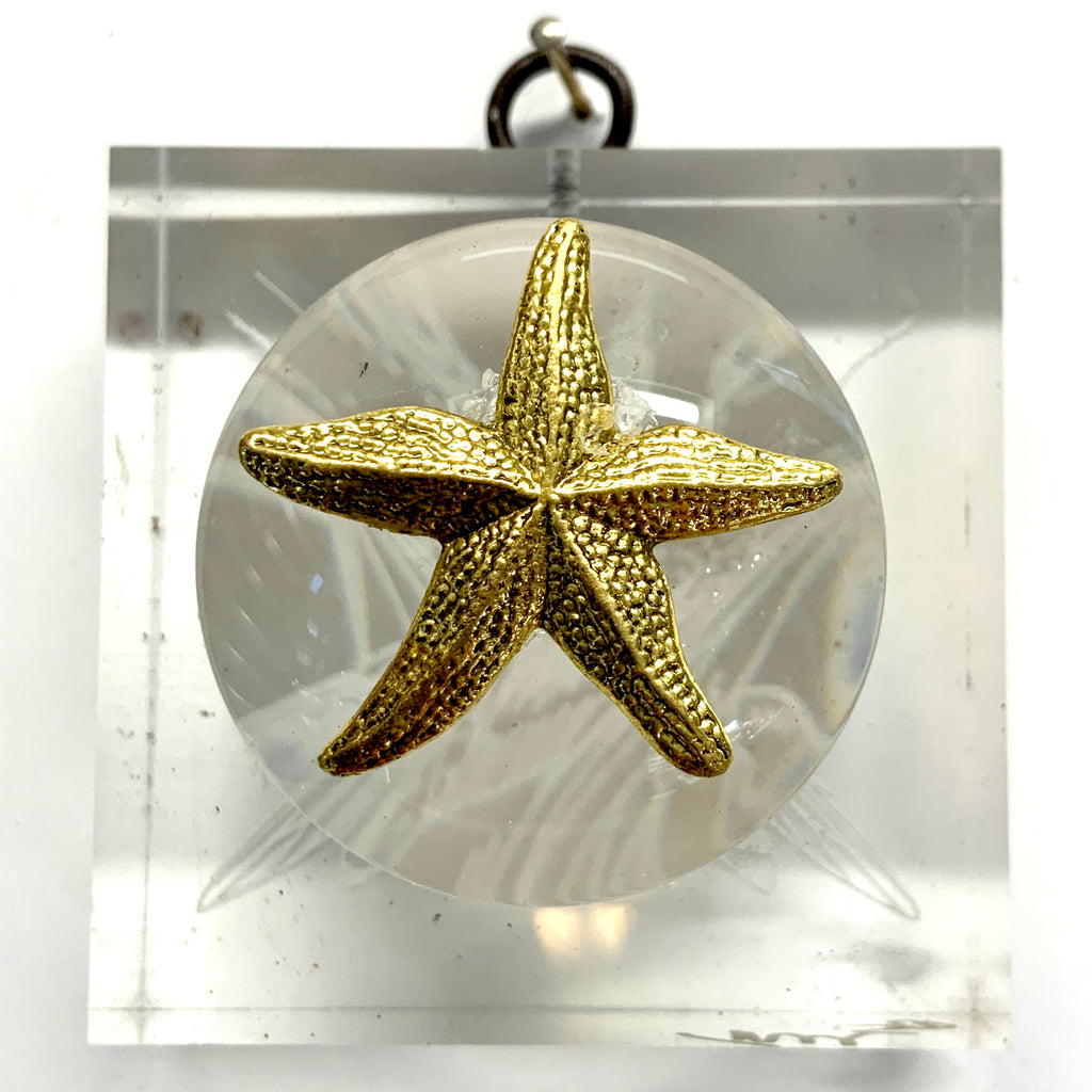 Acrylic Frame with Starfish on Acrylic Dome / Slight Imperfections (3