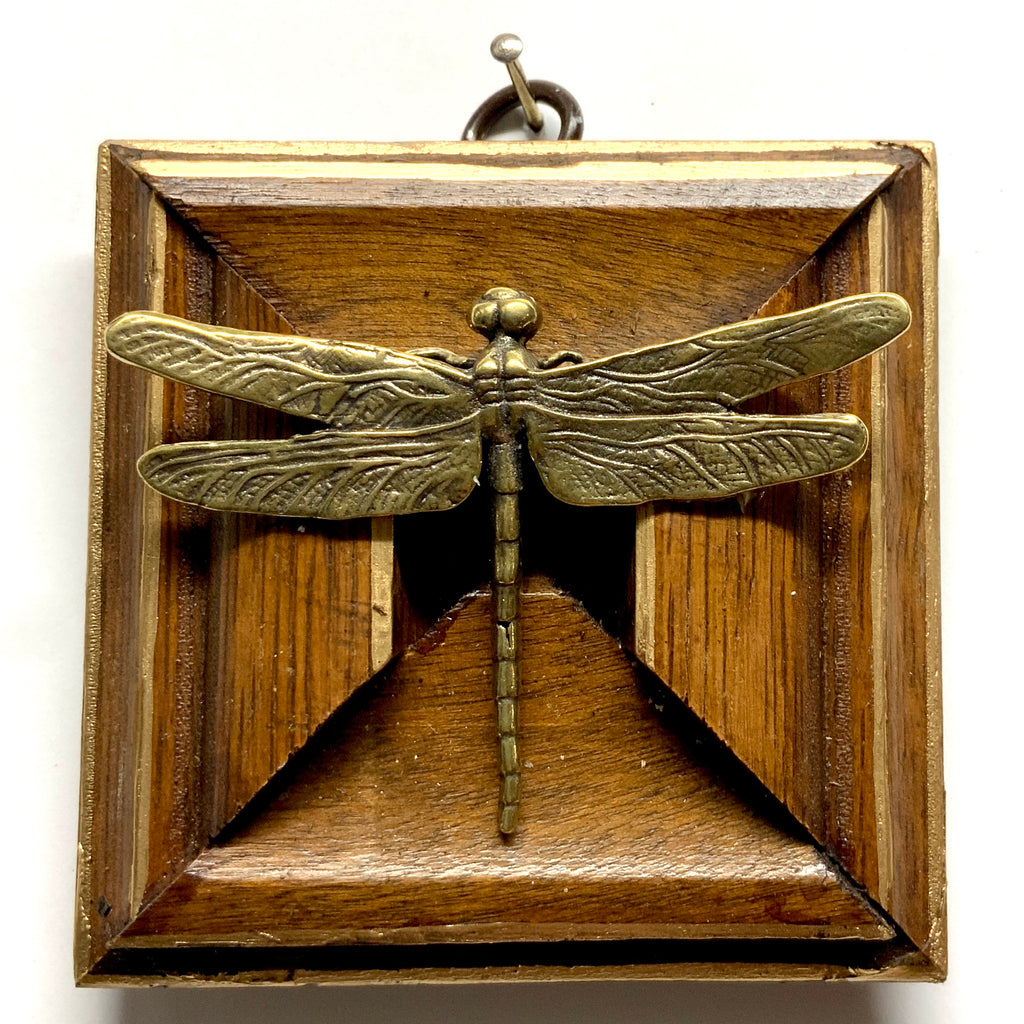 Wooden Frame with Dragonfly (3.5
