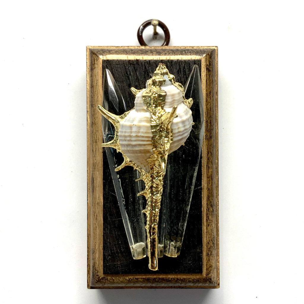 Bourbon Barrel Frame with Shell on Glass (2” wide)
