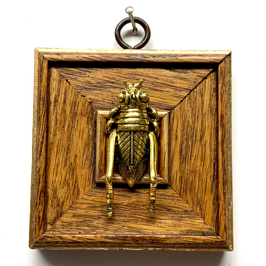 Wooden Frame with Grasshopper (3.25