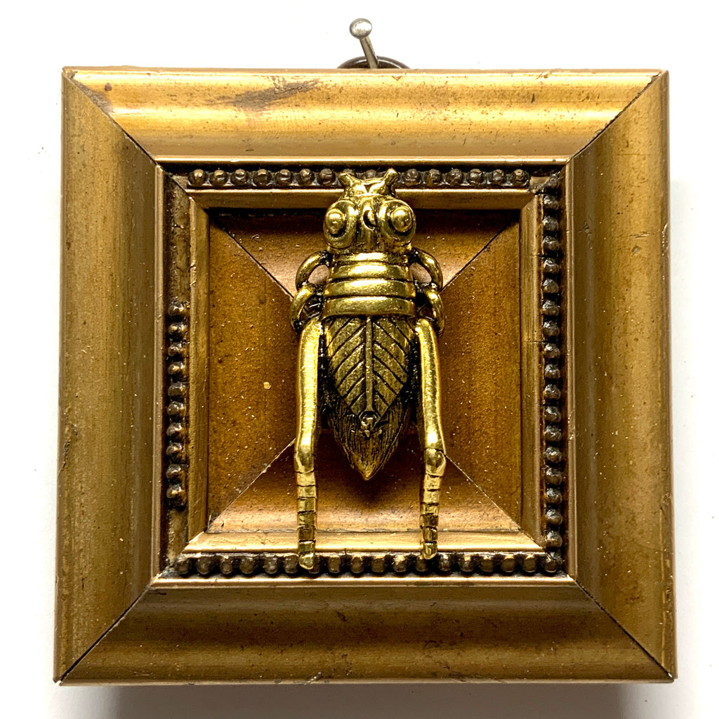 Gilt Frame with Grasshopper (3.5