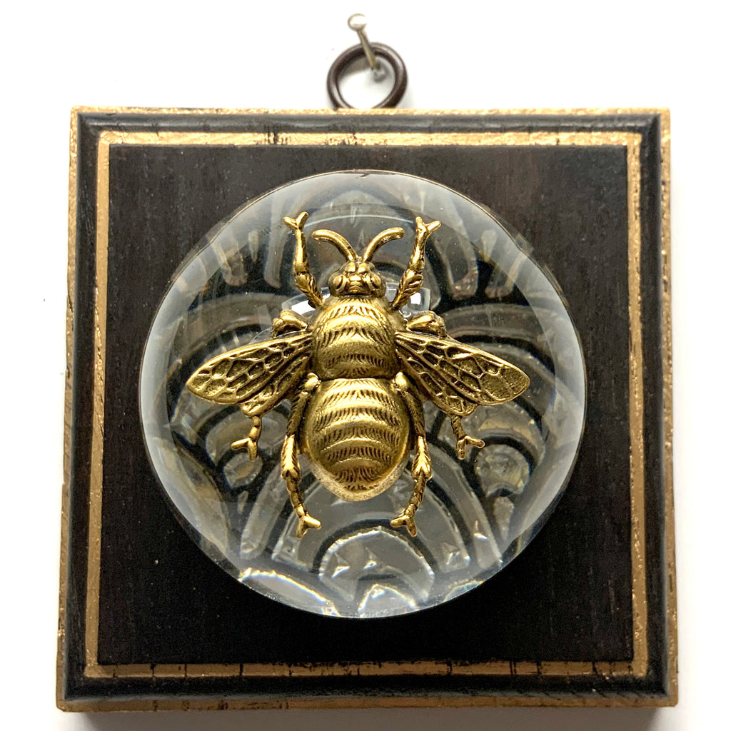 Wooden Frame with Grande Bee on Acrylic Dome / Slight Imperfections (4
