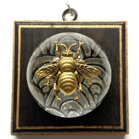 Wooden Frame with Grande Bee on Acrylic Dome / Slight Imperfections (4