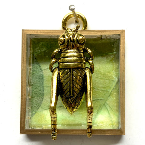 Acrylic Frame with Grasshopper / Slight Imperfections (2