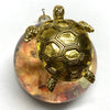 Acrylic Dome Frame with Turtle on Marbled Paper / Slight Imperfections (3