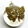 Acrylic Dome Frame with Butterfly on Textured Paper / Slight Imperfections (2.5
