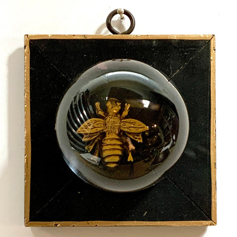 Coromandel Frame with Napoleonic Bee and Acrylic Orb / Slight Imperfections (4