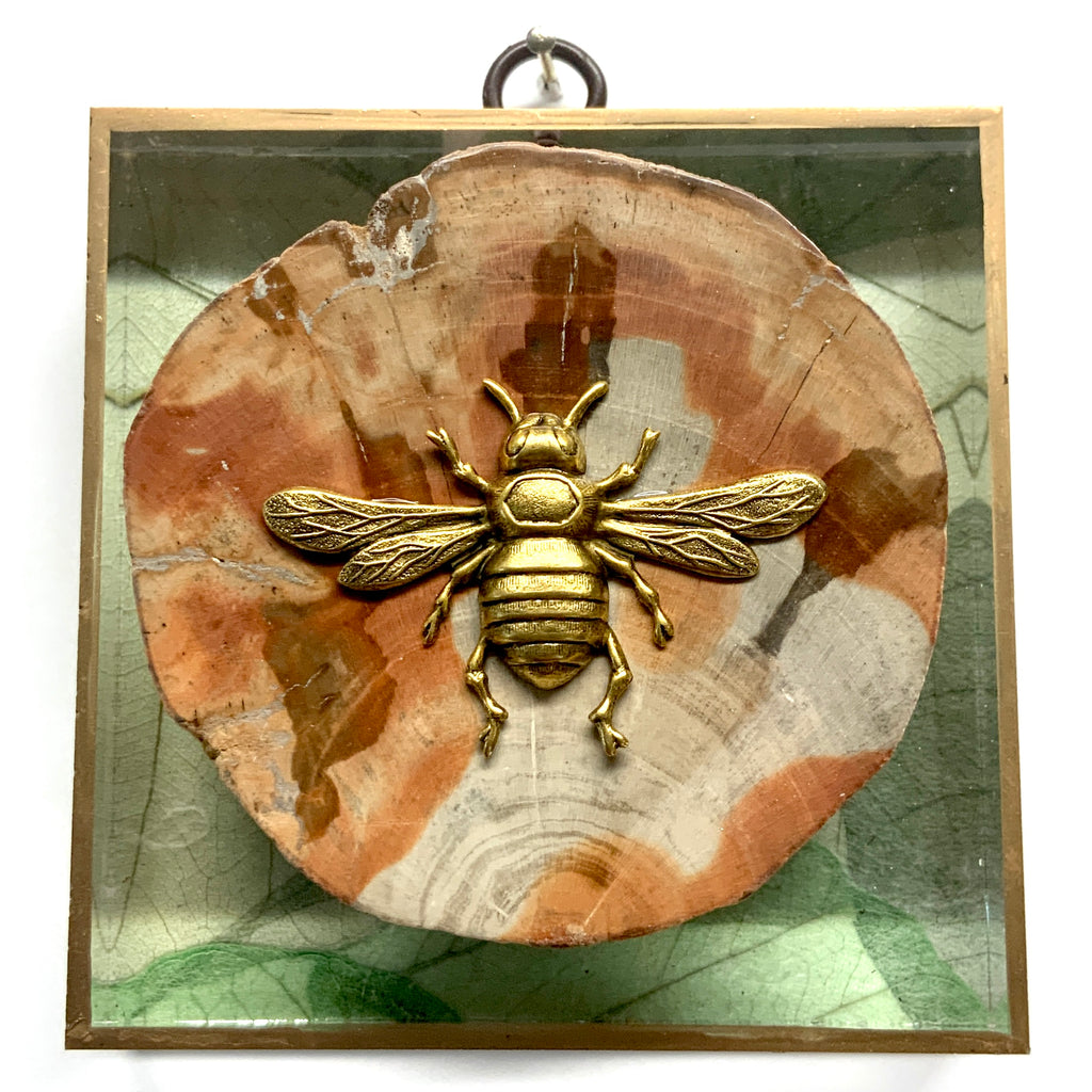 Acrylic Frame with Italian Bee on Petrified Wood / Slight Imperfections (4