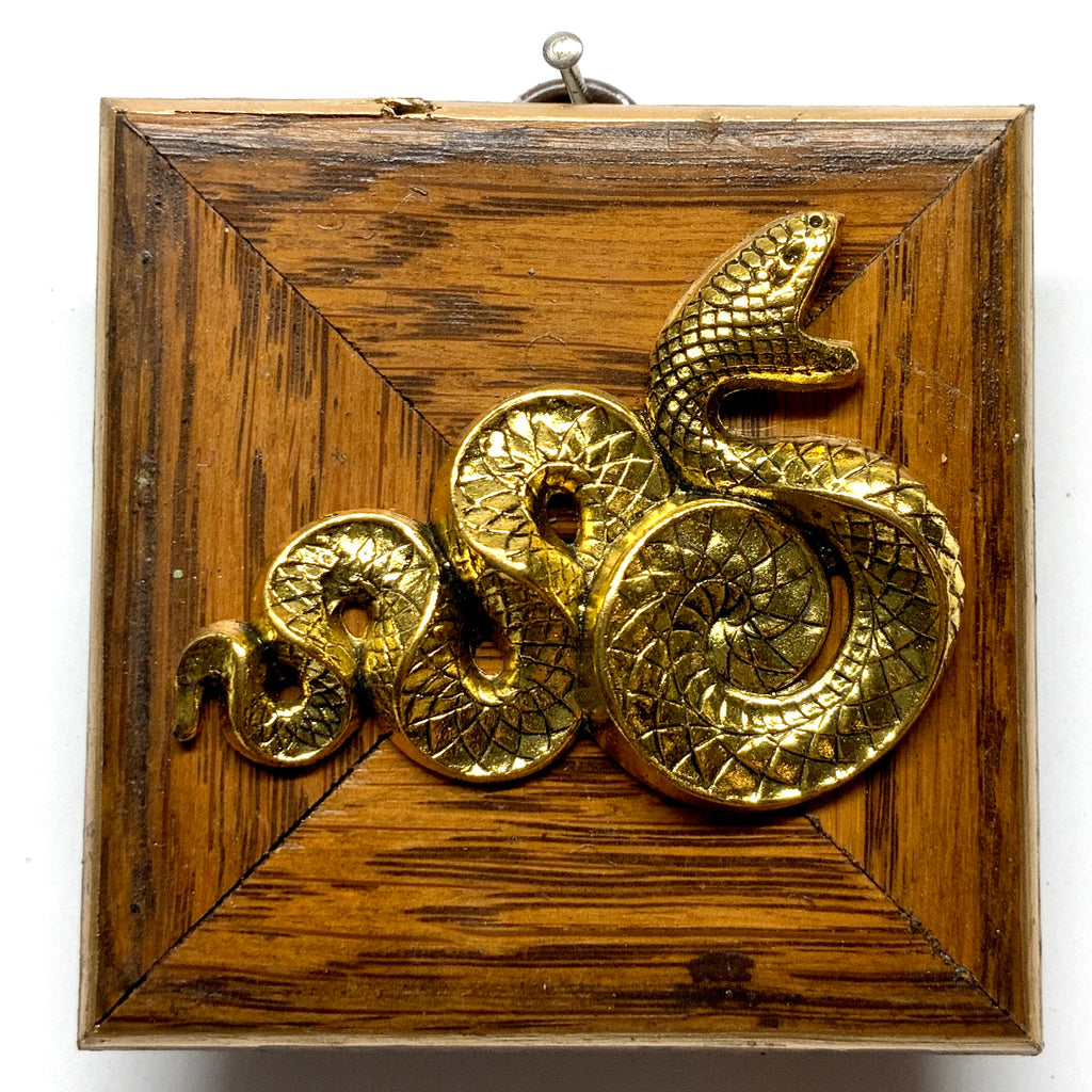 Wooden Frame with Snake (3