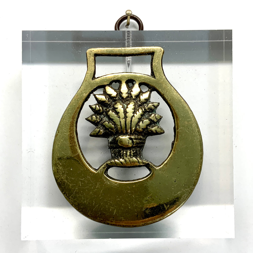 Lucite Acrylic Frame with Horse Brass / Slight Imperfections (3.75” wide)