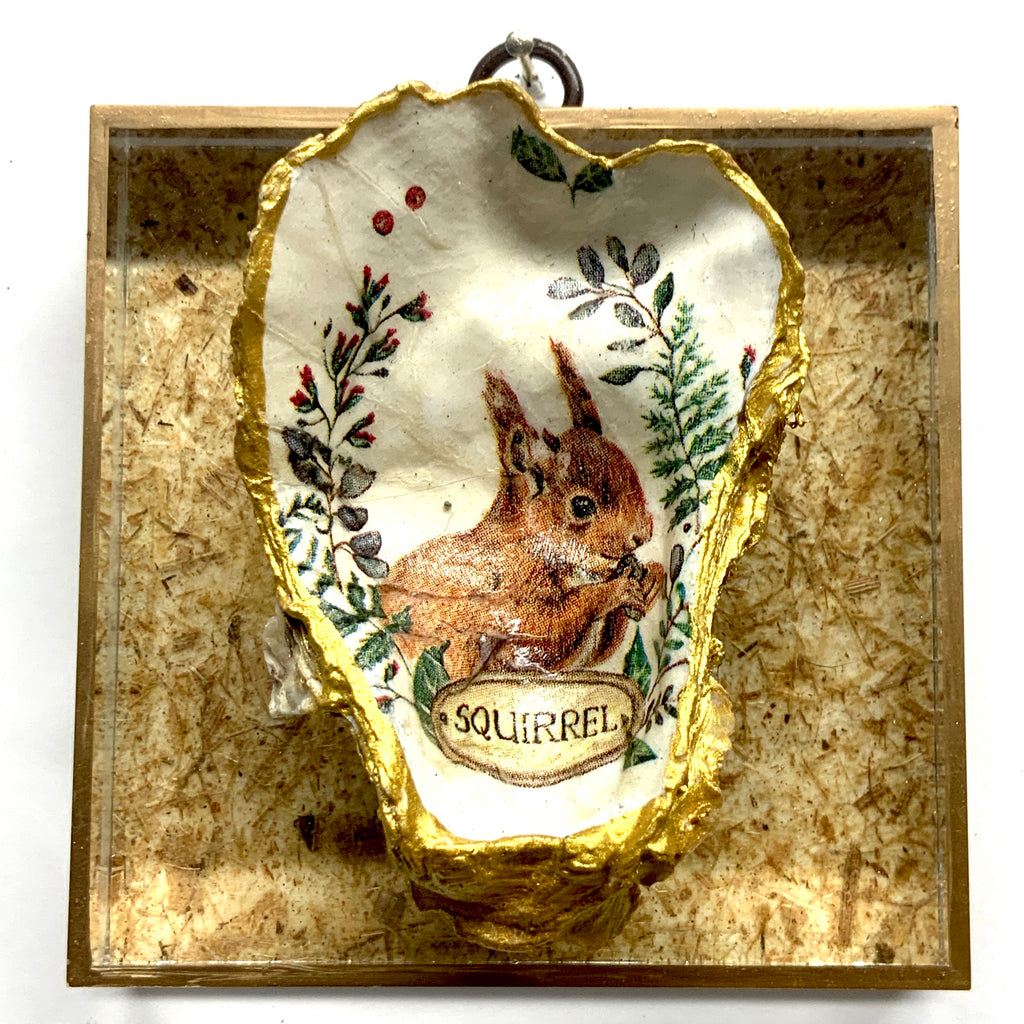 Acrylic Frame with Squirrel Oyster Shell / Slight Imperfections (4