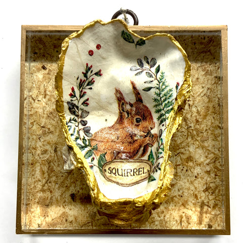 Acrylic Frame with Squirrel Oyster Shell / Slight Imperfections (4