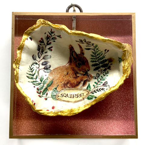 Acrylic Frame with Squirrel Oyster Shell / Slight Imperfections (4