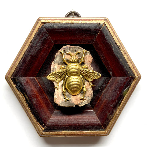 Wooden Frame with Grande Bee on Petrified Wood (4.5