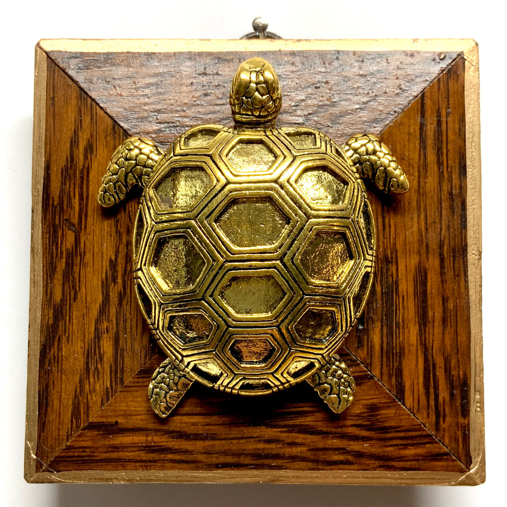 Wooden Frame with Turtle (3.75