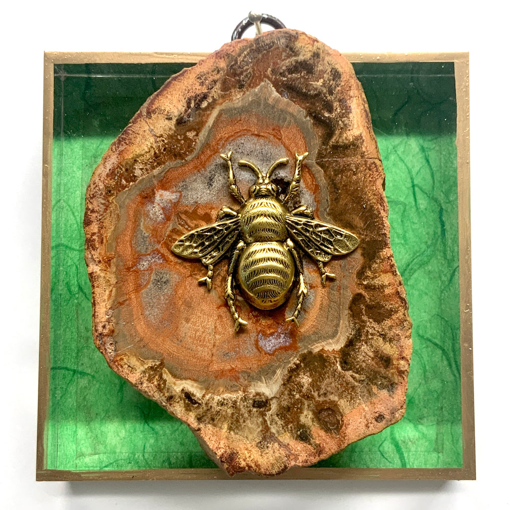 Acrylic Frame with Grande Bee on Petrified Wood / Slight Imperfections (4