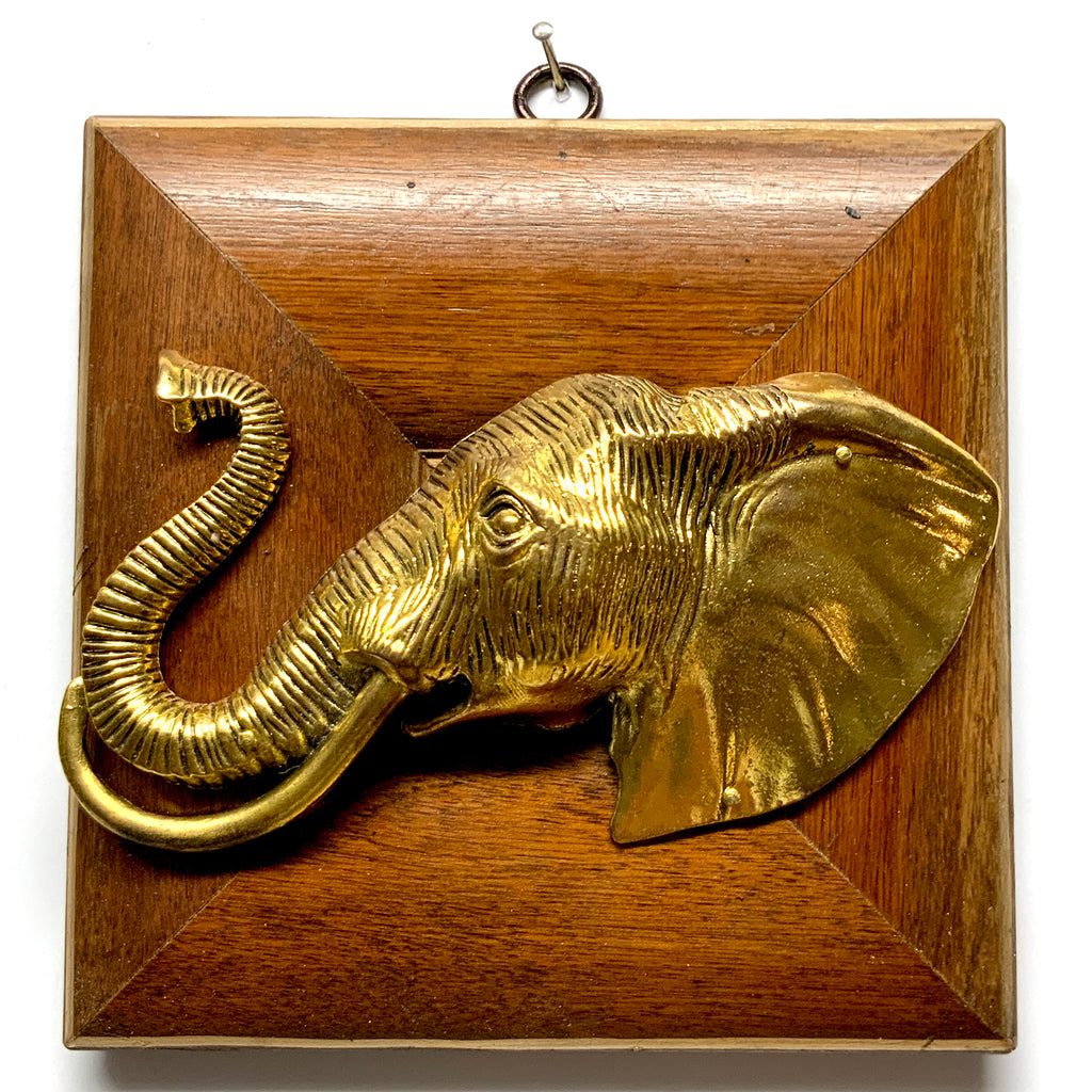 Wooden Frame with Elephant (6