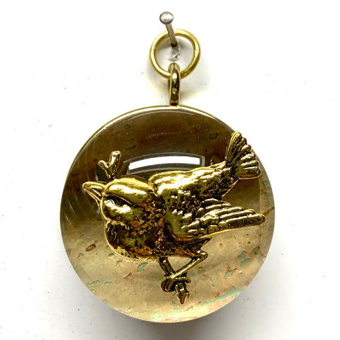 Acrylic Dome Frame with Bird / Slight Imperfections (2