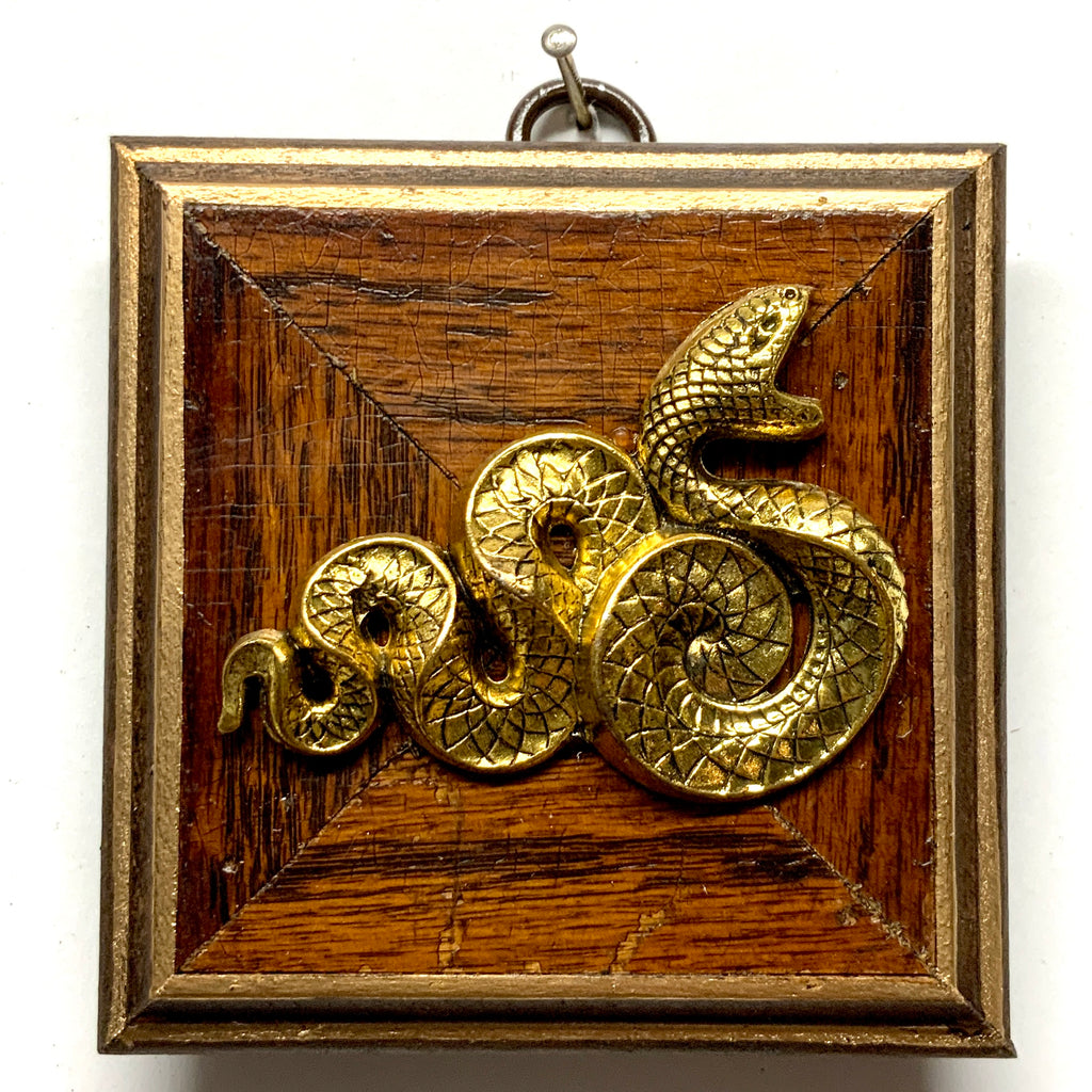 Wooden Frame with Snake (3.25