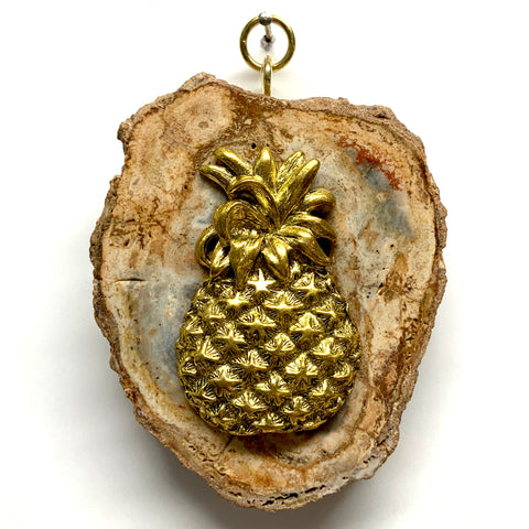 Petrified Wood Frame with Pineapple (3.25