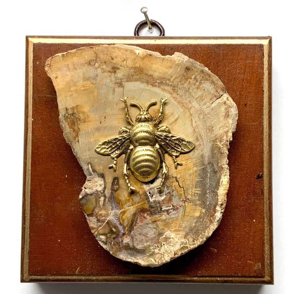 Wooden Frame with Grande Bee on Petrified Wood (4.5