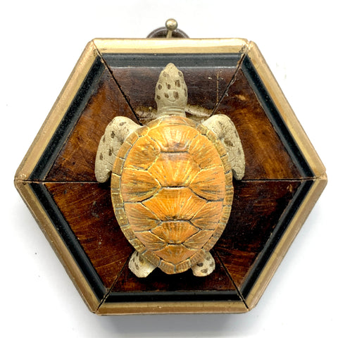 Burled Frame with Turtle (3