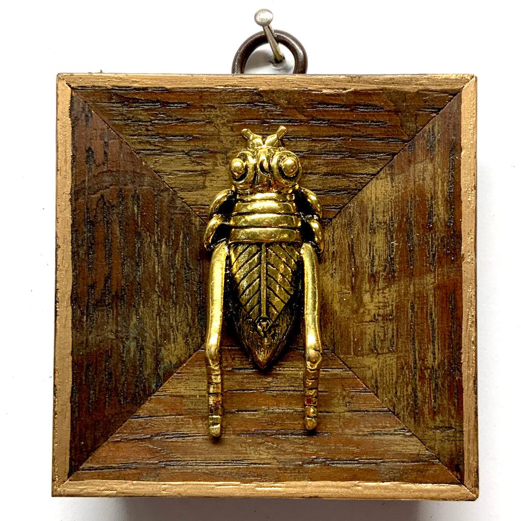 Wooden Frame with Grasshopper (3