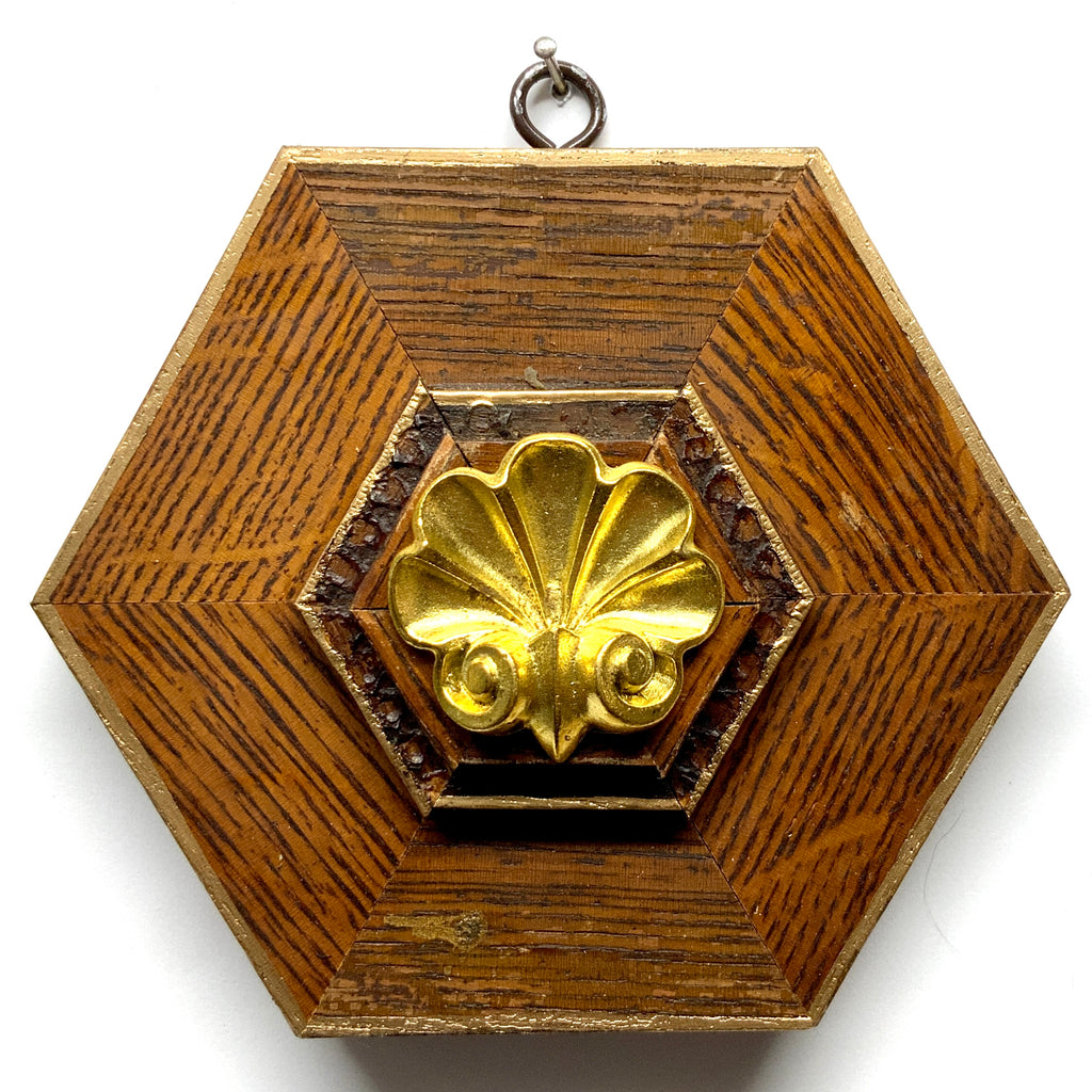 Wooden Frame with Shell (5.75