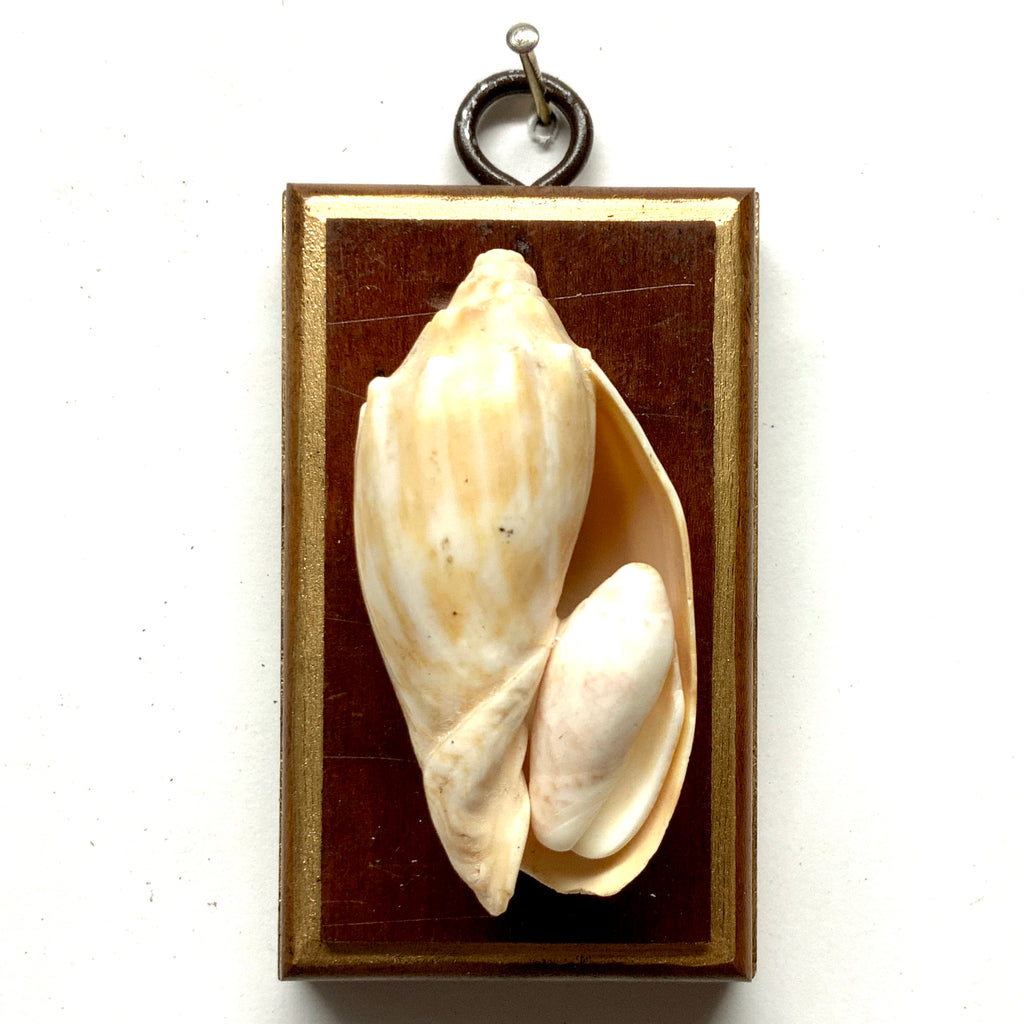 Wooden Frame with Shells (2