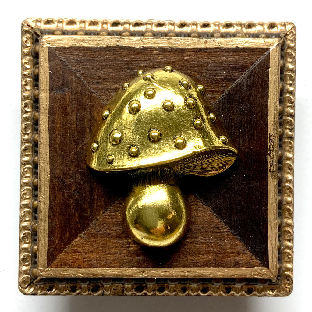 Wooden Frame with Mushroom (2.75