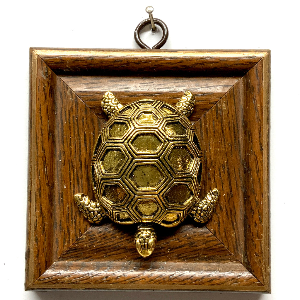 Wooden Frame with Turtle (4