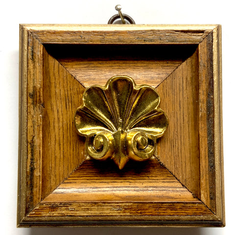 Wooden Frame with Shell (4