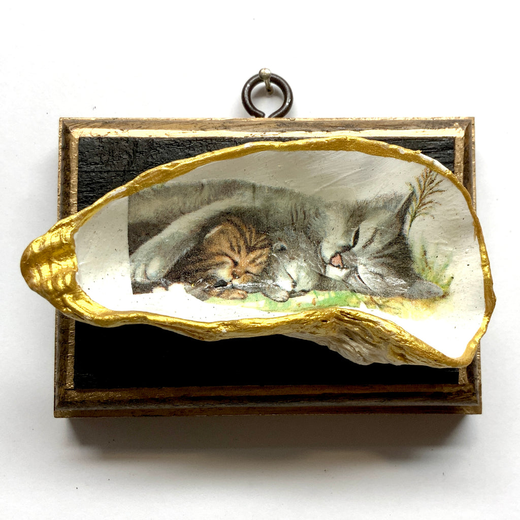 Bourbon Barrel Frame with Kitten Oyster Shell (4.5