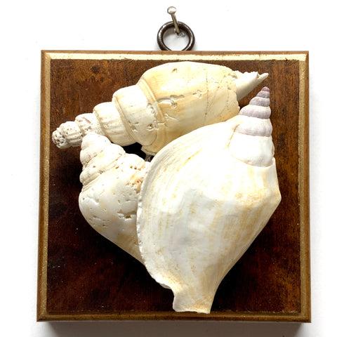 Wooden Frame with Shells (4