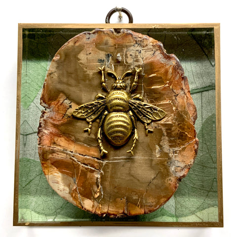 Acrylic Frame with Grande Bee on Petrified Wood / Slight Imperfections (4