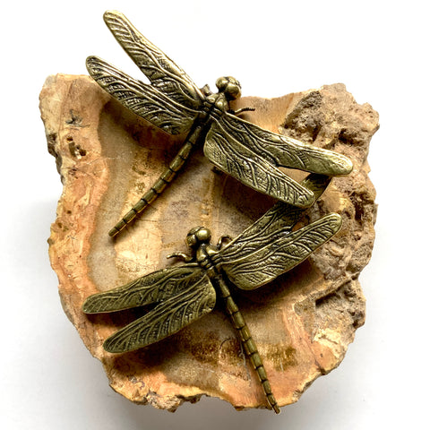 Petrified Wood Frame with Dragonflies (3.75