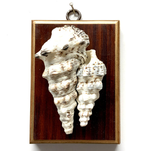 Wooden Frame with Shells (3.25