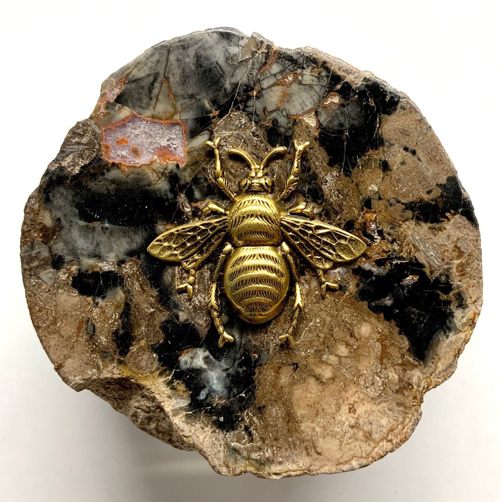 Petrified Wood Frame with Grande Bee (3.5
