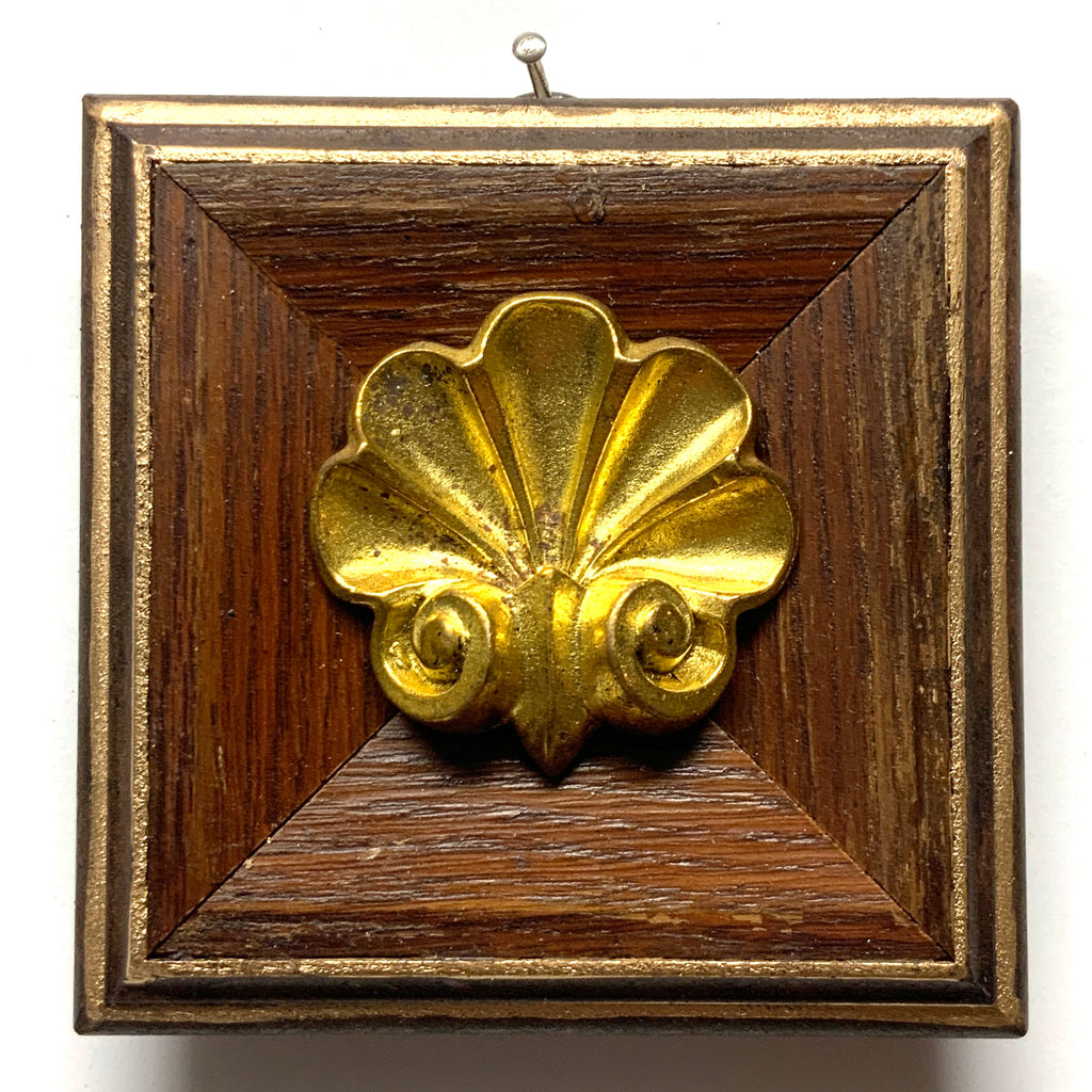 Wooden Frame with Shell (3.5