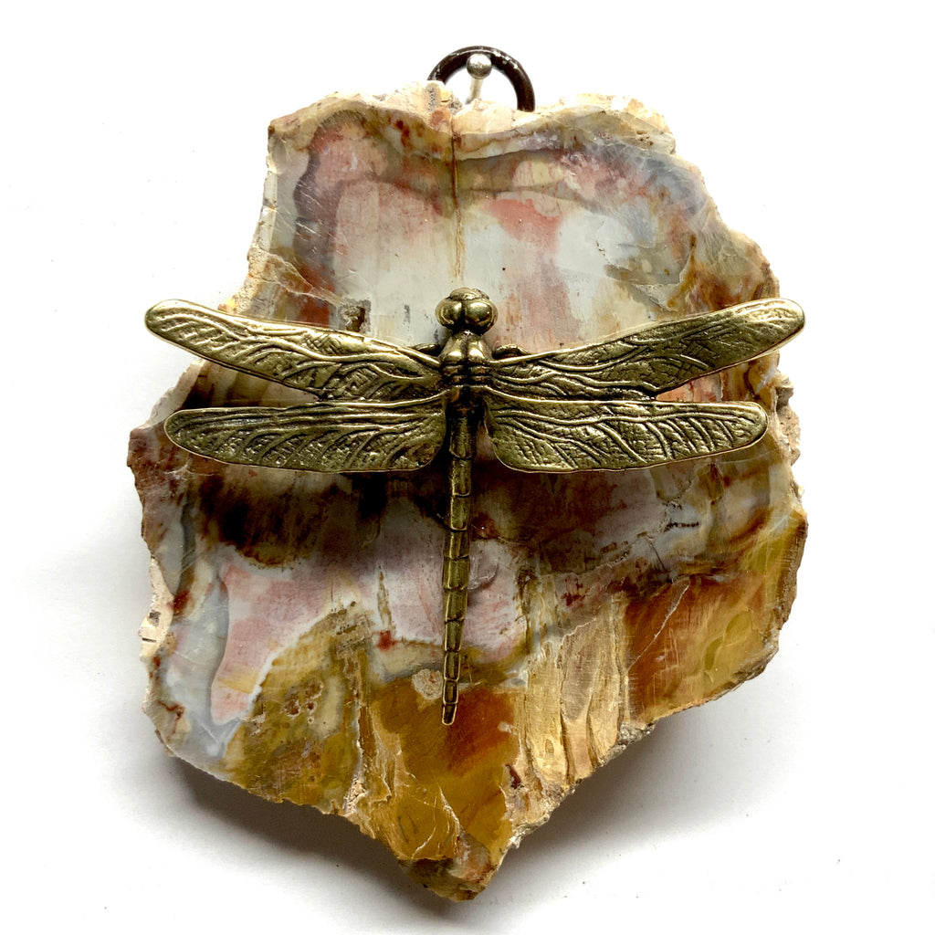 Petrified Wood Frame with Dragonfly (3.25