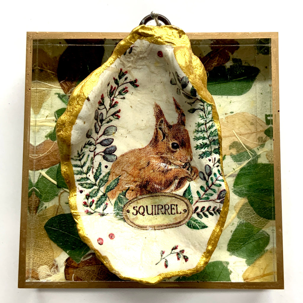 Acrylic Frame with Squirrel Oyster Shell / Slight Imperfections (4