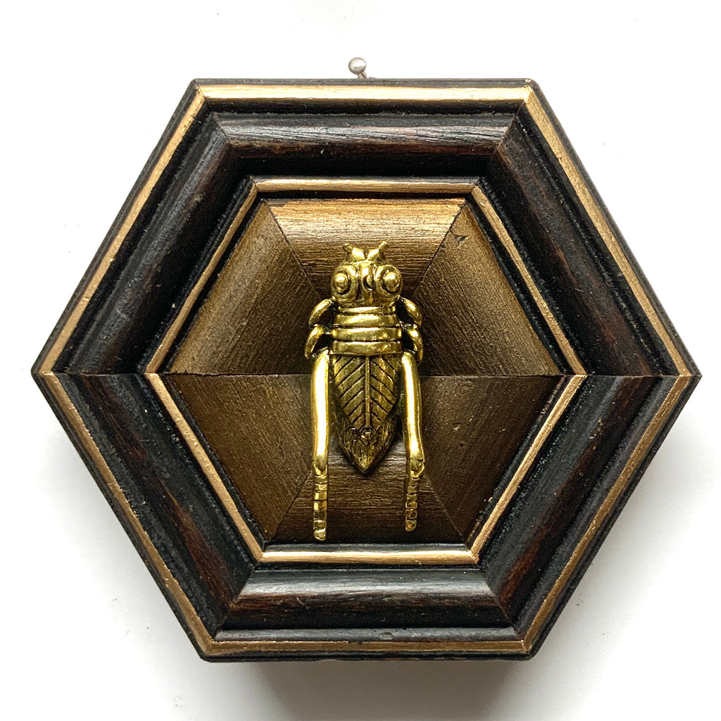Wooden Frame with Grasshopper (4.75