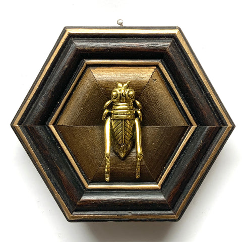 Wooden Frame with Grasshopper (4.75